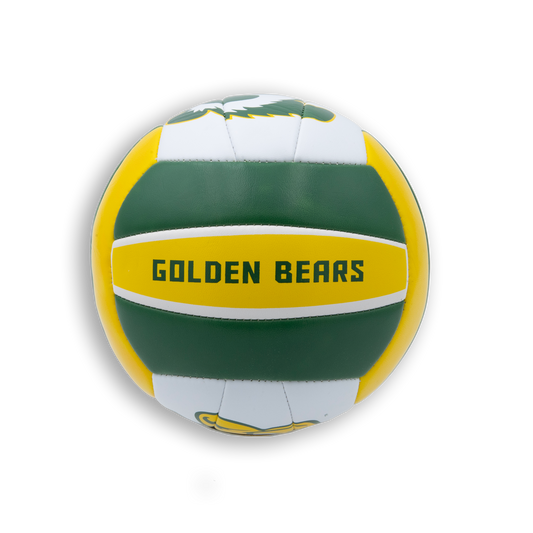 MINI VOLLEYBALL