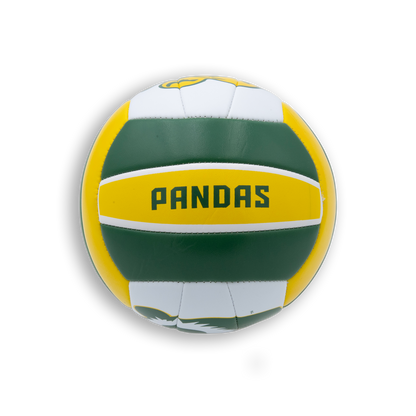 MINI VOLLEYBALL