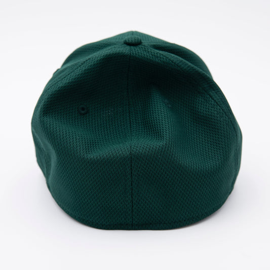 NEW ERA 39THIRTY HAT