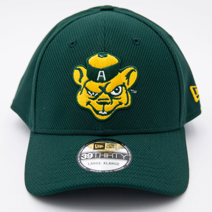 NEW ERA 39THIRTY HAT